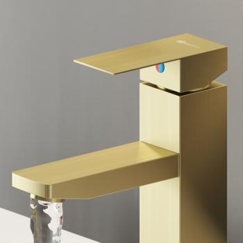 GAVI-02-ZL-CAM-810001