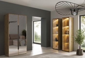 dk-meble-szafa-cabo-2l-100-artisan-2