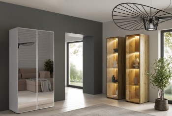 dk-meble-szafa-cabo-2l-100-biały-1