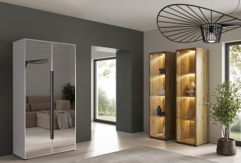 dk-meble-szafa-cabo-2l-100-biały-2