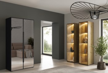 dk-meble-szafa-cabo-2l-100-czarny-1