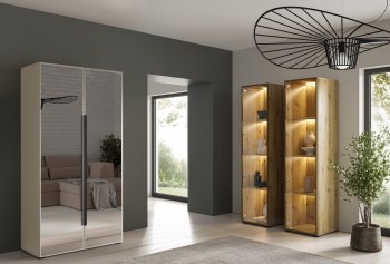 dk-meble-szafa-cabo-2l-100-kaszmir-2