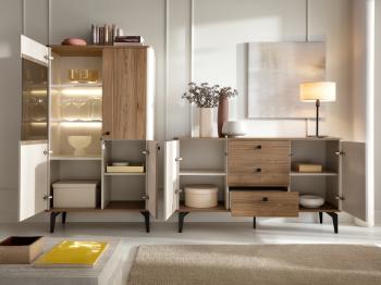 dolmar-aurena-alphard-4